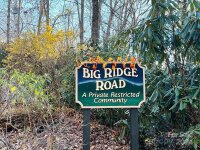 Big Ridge Road # 104, Burnsville, NC 28714, MLS # 4153326 - Photo #4