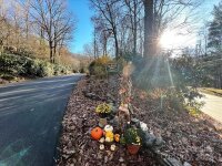 Big Ridge Road # 104, Burnsville, NC 28714, MLS # 4153326 - Photo #5