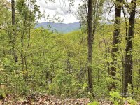 Eagles Nest Road, Waynesville, NC 28786, MLS # 4153349 - Photo #9