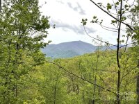 Eagles Nest Road, Waynesville, NC 28786, MLS # 4153349 - Photo #10