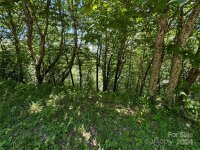 346 Birch Springs Lane, Mars Hill, NC 28754, MLS # 4153393 - Photo #7