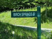 346 Birch Springs Lane, Mars Hill, NC 28754, MLS # 4153393 - Photo #14