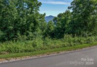 Signature Row Boulevard # 18, Waynesville, NC 28785, MLS # 4153896 - Photo #3