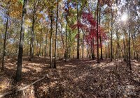 Three Lakes Trail, Waxhaw, NC 28173, MLS # 4153997 - Photo #6