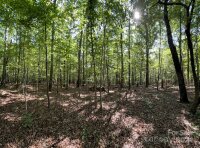 Three Lakes Trail, Waxhaw, NC 28173, MLS # 4153998 - Photo #2