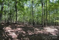 Three Lakes Trail, Waxhaw, NC 28173, MLS # 4153998 - Photo #3