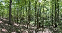 Three Lakes Trail, Waxhaw, NC 28173, MLS # 4153998 - Photo #5