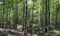 Three Lakes Trail, Waxhaw, NC 28173, MLS # 4153998 - Photo #7