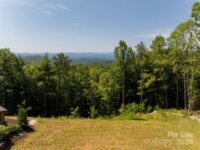 751 New Sprout Lane, Hendersonville, NC 28792, MLS # 4154337 - Photo #40