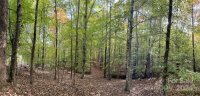 1010 Three Lakes Trail, Waxhaw, NC 28173, MLS # 4154349 - Photo #11