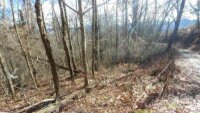 2100 Chambers Mountain Road, Clyde, NC 28721, MLS # 4154531 - Photo #2