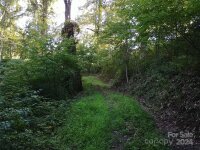 2100 Chambers Mountain Road, Clyde, NC 28721, MLS # 4154531 - Photo #4