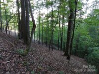 2100 Chambers Mountain Road, Clyde, NC 28721, MLS # 4154531 - Photo #5