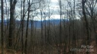 2100 Chambers Mountain Road, Clyde, NC 28721, MLS # 4154531 - Photo #6