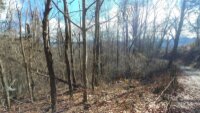 2100 Chambers Mountain Road, Clyde, NC 28721, MLS # 4154531 - Photo #10