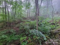 2100 Chambers Mountain Road, Clyde, NC 28721, MLS # 4154531 - Photo #12