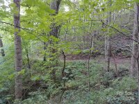 2100 Chambers Mountain Road, Clyde, NC 28721, MLS # 4154531 - Photo #17