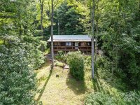 1007 Van Arrington Road, Clyde, NC 28721, MLS # 4154671 - Photo #6