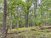 Stony Gap Road, Albemarle, NC 28001, MLS # 4154748 - Photo #15