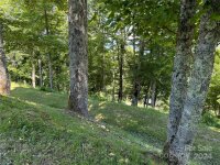 931 Upper Lookout Drive # 931, Mars Hill, NC 28754, MLS # 4154831 - Photo #4