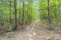 Zacks Fork Road, Lenoir, NC 28645, MLS # 4155163 - Photo #10