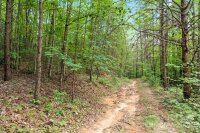 Zacks Fork Road, Lenoir, NC 28645, MLS # 4155163 - Photo #12