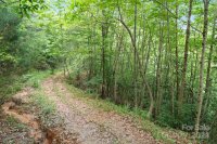 Zacks Fork Road, Lenoir, NC 28645, MLS # 4155163 - Photo #14