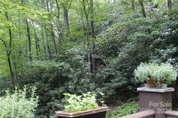 4122 Connestee Trail, Brevard, NC 28712, MLS # 4155272 - Photo #4