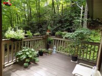 4122 Connestee Trail, Brevard, NC 28712, MLS # 4155272 - Photo #30