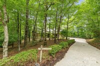 76 Panther Run, Brevard, NC 28712, MLS # 4155330 - Photo #10