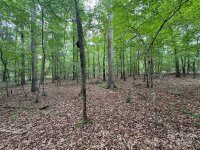 Reeves Island Road, Gold Hill, NC 28071, MLS # 4155514 - Photo #2