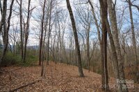 Lytle Mountain Road, Old Fort, NC 28762, MLS # 4155765 - Photo #5