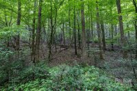 Lytle Mountain Road, Old Fort, NC 28762, MLS # 4155765 - Photo #11