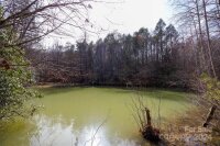 Lytle Mountain Road, Old Fort, NC 28762, MLS # 4155765 - Photo #13