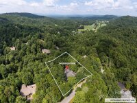 204 Greenleaf Drive, Flat Rock, NC 28731, MLS # 4155854 - Photo #48