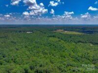 Mountain Gap Road, Richburg, SC 29607, MLS # 4156023 - Photo #13