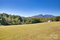 Buffalo Creek Road Unit 13, Lake Lure, NC 28746, MLS # 4156192 - Photo #1