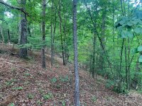 Bluebird Terrace, Lake Lure, NC 28746, MLS # 4157257 - Photo #1