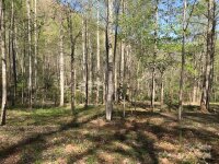 Mountain Brook Road, Sylva, NC 28779, MLS # 4157271 - Photo #1