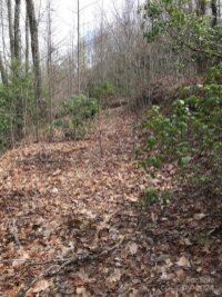 Mountain Brook Road, Sylva, NC 28779, MLS # 4157271 - Photo #28