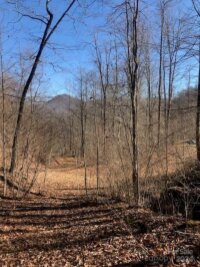 Mountain Brook Road, Sylva, NC 28779, MLS # 4157271 - Photo #4