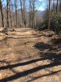 Mountain Brook Road, Sylva, NC 28779, MLS # 4157271 - Photo #6