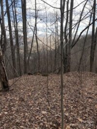 Mountain Brook Road, Sylva, NC 28779, MLS # 4157271 - Photo #11