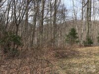 Mountain Brook Road, Sylva, NC 28779, MLS # 4157271 - Photo #38