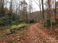 Mountain Brook Road, Sylva, NC 28779, MLS # 4157271 - Photo #13