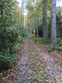 Mountain Brook Road, Sylva, NC 28779, MLS # 4157271 - Photo #25