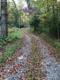 Mountain Brook Road, Sylva, NC 28779, MLS # 4157271 - Photo #26