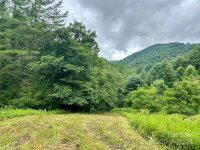 166 Lower Rush Branch Road, Sugar Grove, NC 28679, MLS # 4157569 - Photo #33