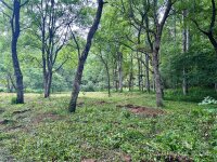 166 Lower Rush Branch Road, Sugar Grove, NC 28679, MLS # 4157569 - Photo #39