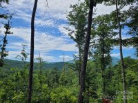 99999 Old Yellow Mountain Road, Marion, NC 28752, MLS # 4159629 - Photo #3